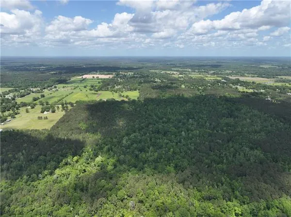 $325,000 | 0 Ellis Boulevard, Loranger, LA 70446