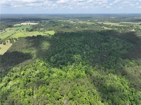 $325,000 | 0 Ellis Boulevard, Loranger, LA 70446