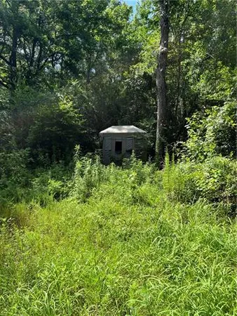 $325,000 | 0 Ellis Boulevard, Loranger, LA 70446