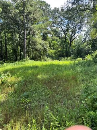 $325,000 | 0 Ellis Boulevard, Loranger, LA 70446