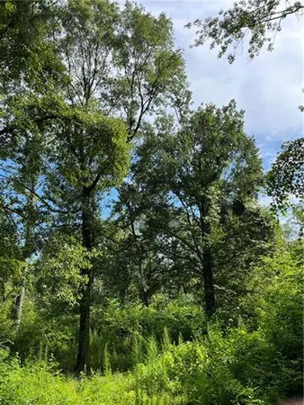 $325,000 | 0 Ellis Boulevard, Loranger, LA 70446