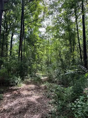 $325,000 | 0 Ellis Boulevard, Loranger, LA 70446