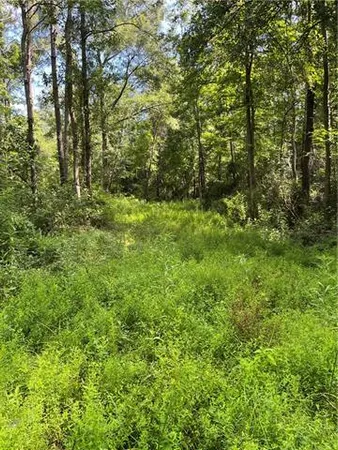 $325,000 | 0 Ellis Boulevard, Loranger, LA 70446