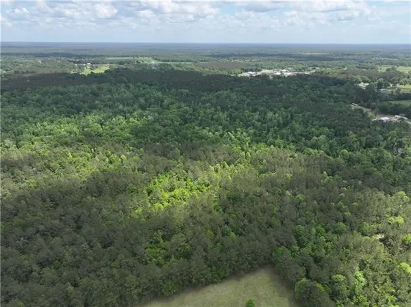 $325,000 | 0 Ellis Boulevard, Loranger, LA 70446