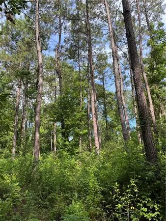 $325,000 | 0 Ellis Boulevard, Loranger, LA 70446