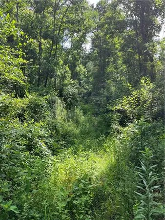 $325,000 | 0 Ellis Boulevard, Loranger, LA 70446