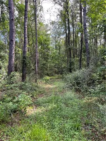 $325,000 | 0 Ellis Boulevard, Loranger, LA 70446