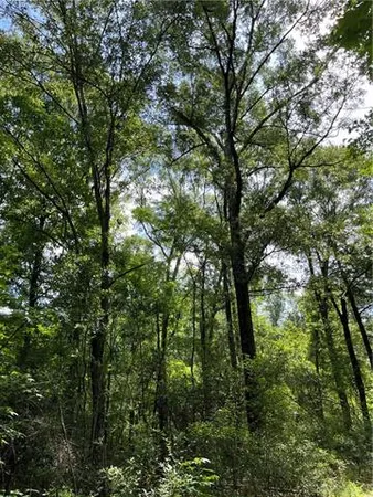 $325,000 | 0 Ellis Boulevard, Loranger, LA 70446