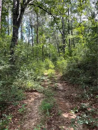 $325,000 | 0 Ellis Boulevard, Loranger, LA 70446