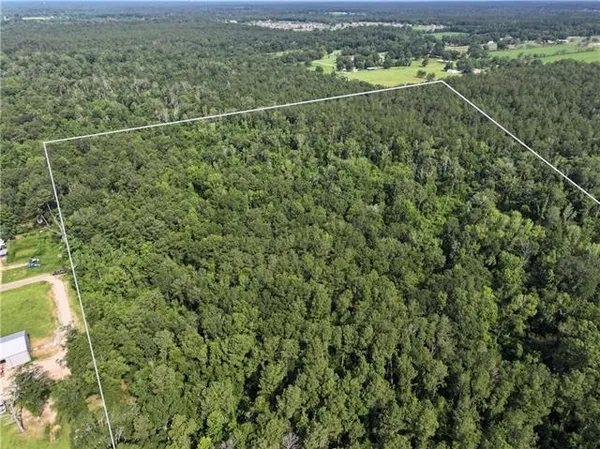 $325,000 | 0 Ellis Boulevard, Loranger, LA 70446