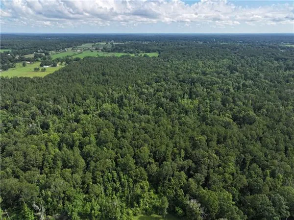 $325,000 | 0 Ellis Boulevard, Loranger, LA 70446