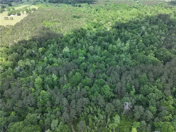 $325,000 | 0 Ellis Boulevard, Loranger, LA 70446