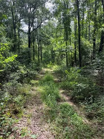 $325,000 | 0 Ellis Boulevard, Loranger, LA 70446