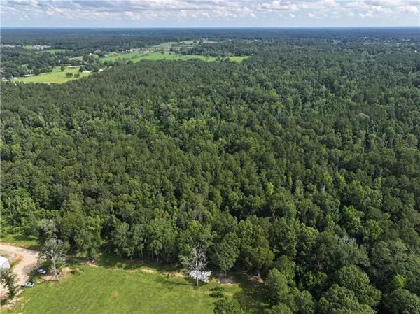 $325,000 | 0 Ellis Boulevard, Loranger, LA 70446