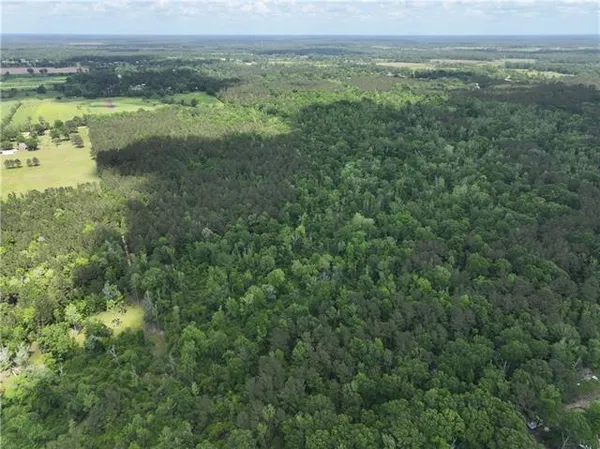 $325,000 | 0 Ellis Boulevard, Loranger, LA 70446