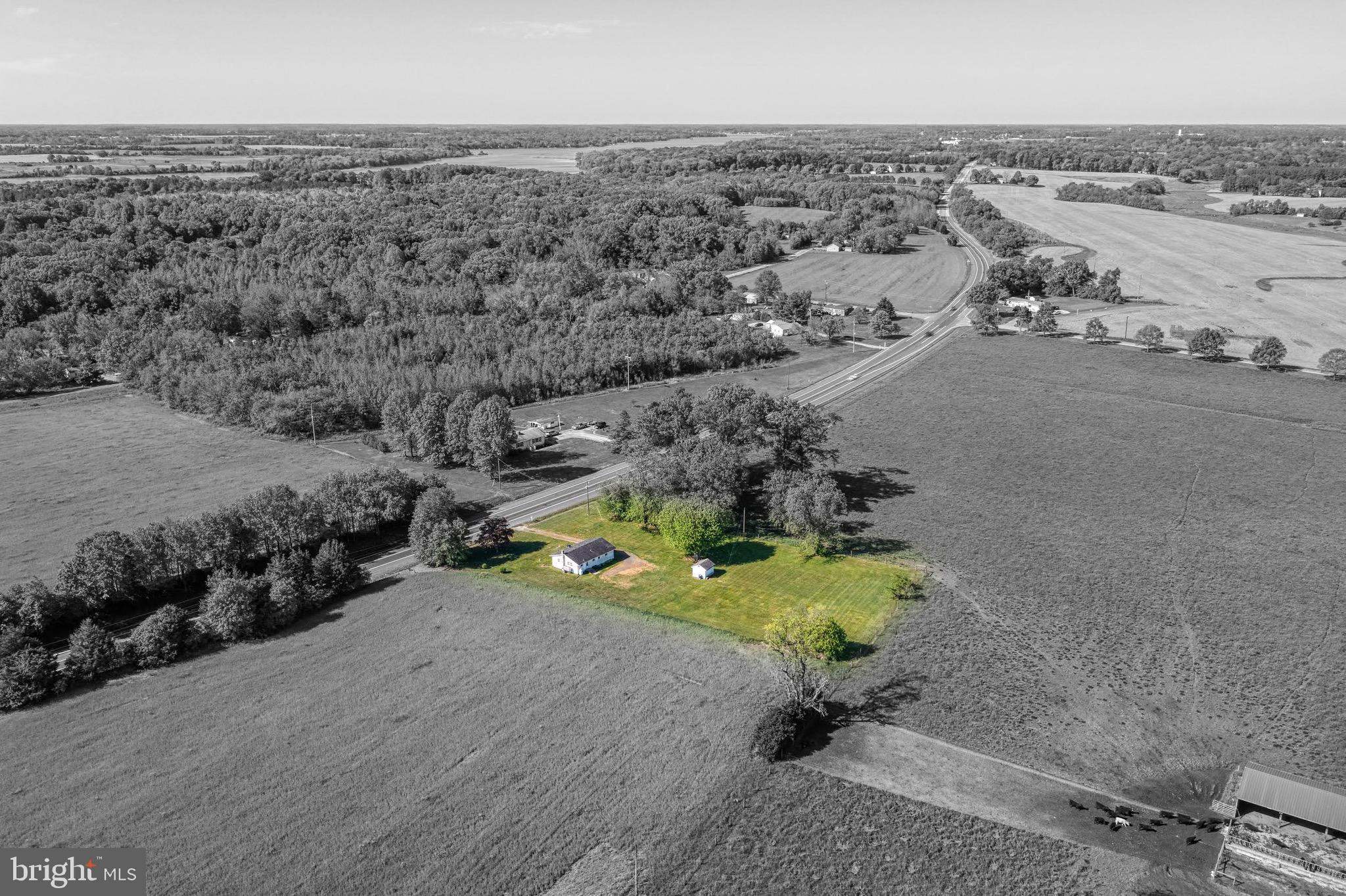 27985 River Road Chestertown, MD 21620 - Photo 1 of 6