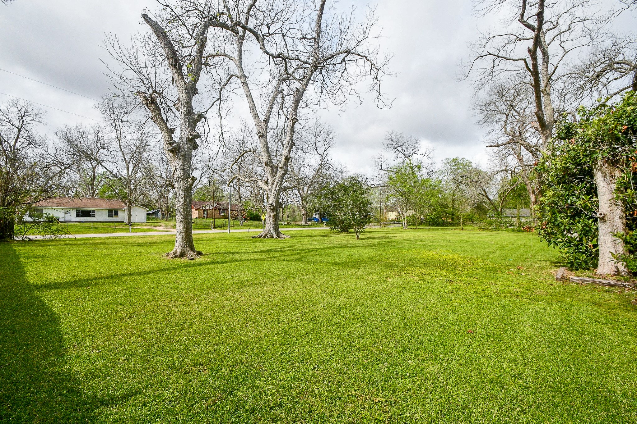607 Riveredge Drive Richmond, TX 77406 - Photo 12 of 19 a view of green field