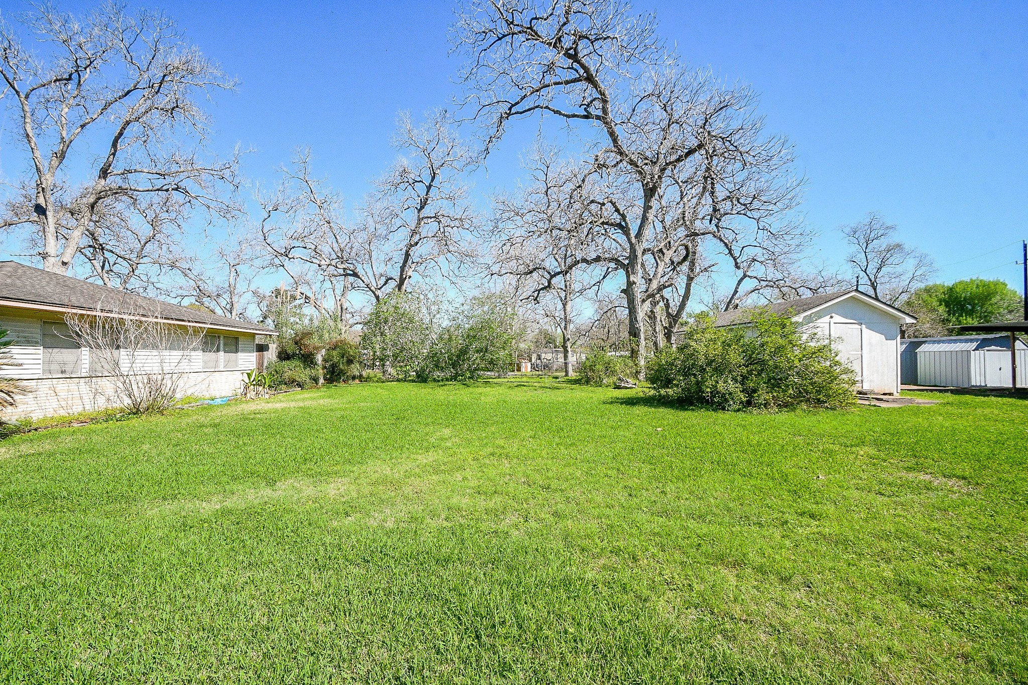 607 Riveredge Drive Richmond, TX 77406 - Photo 15 of 19 a view of a field of grass and trees