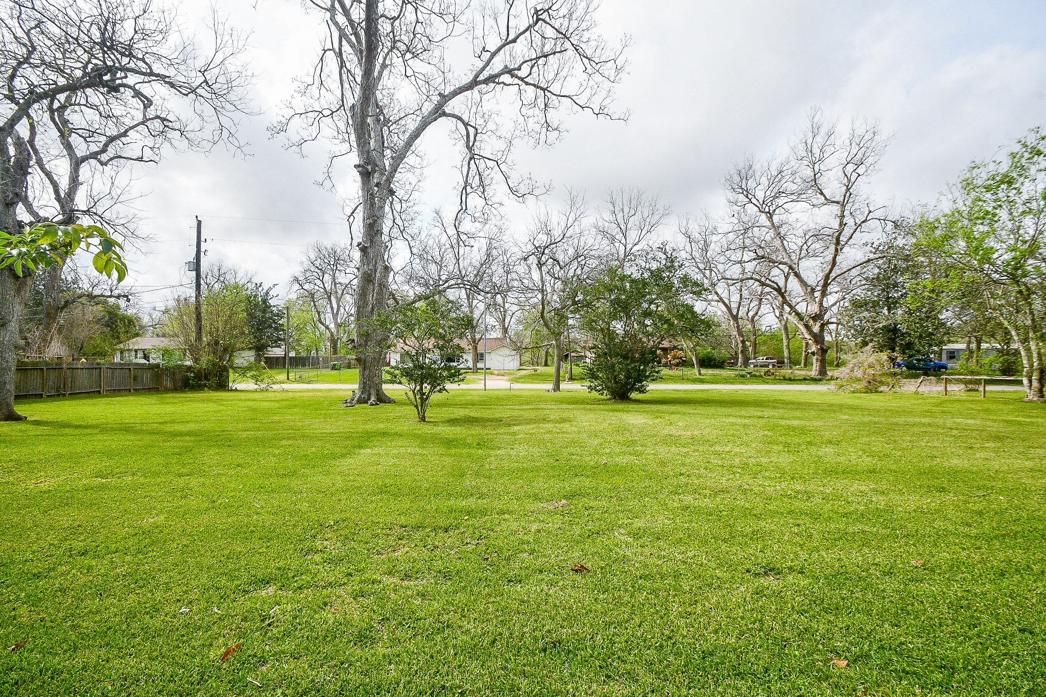 607 Riveredge Drive Richmond, TX 77406 - Photo 16 of 19 a huge green field with lots of trees
