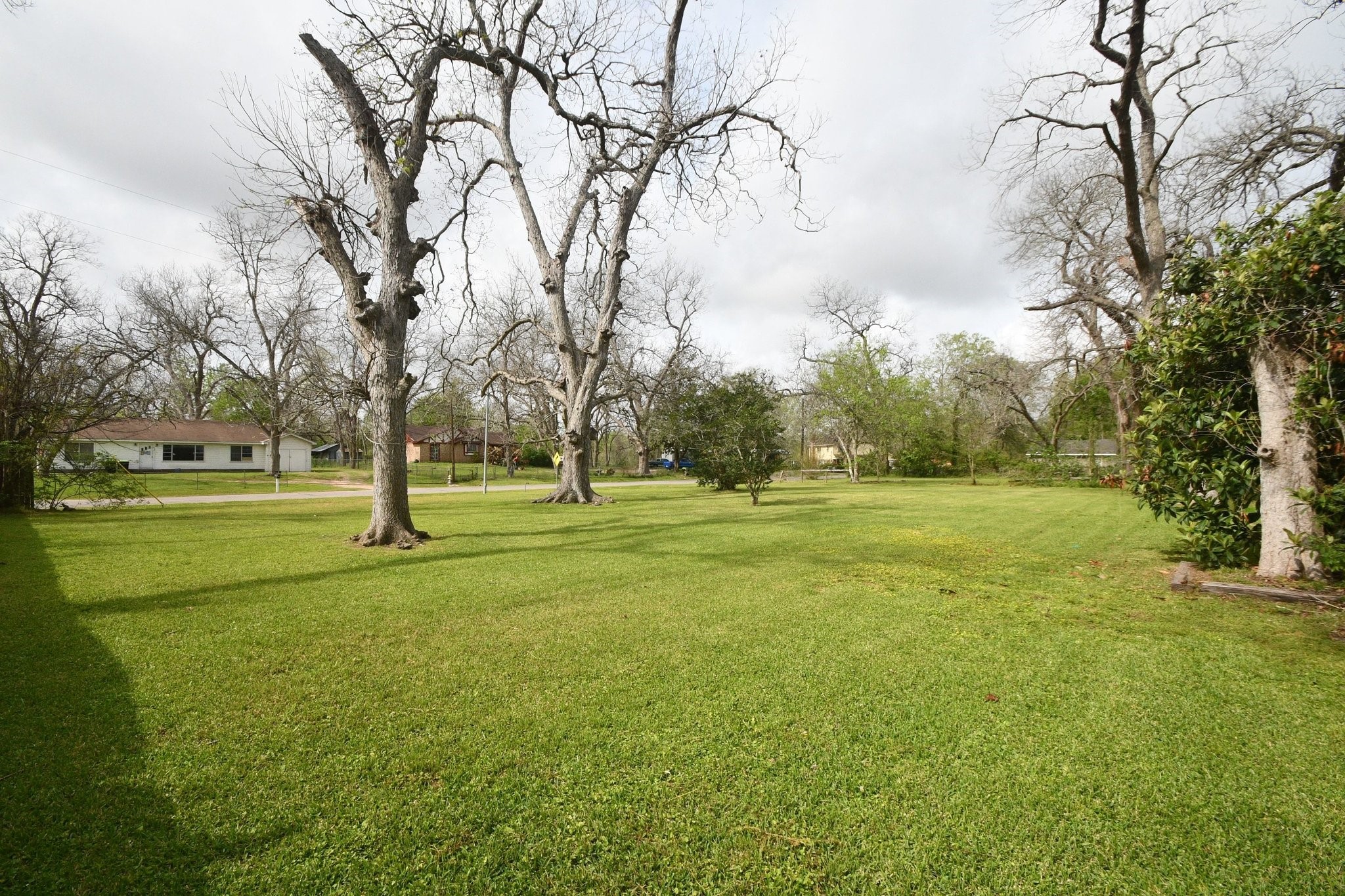 607 Riveredge Drive Richmond, TX 77406 - Photo 3 of 19 a view of field with trees