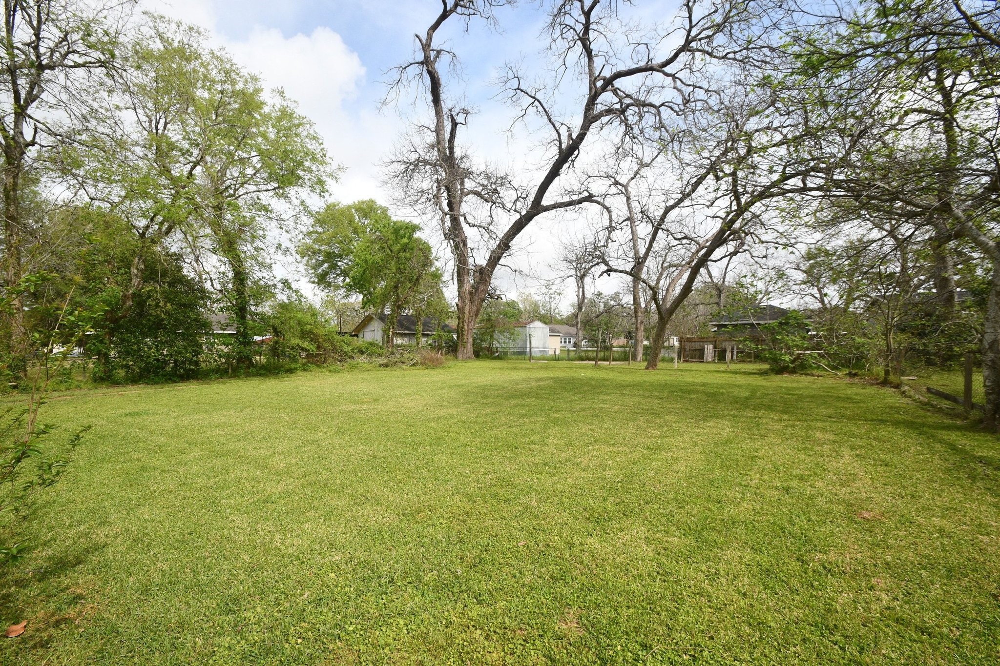 607 Riveredge Drive Richmond, TX 77406 - Photo 5 of 19 a view of a field with trees