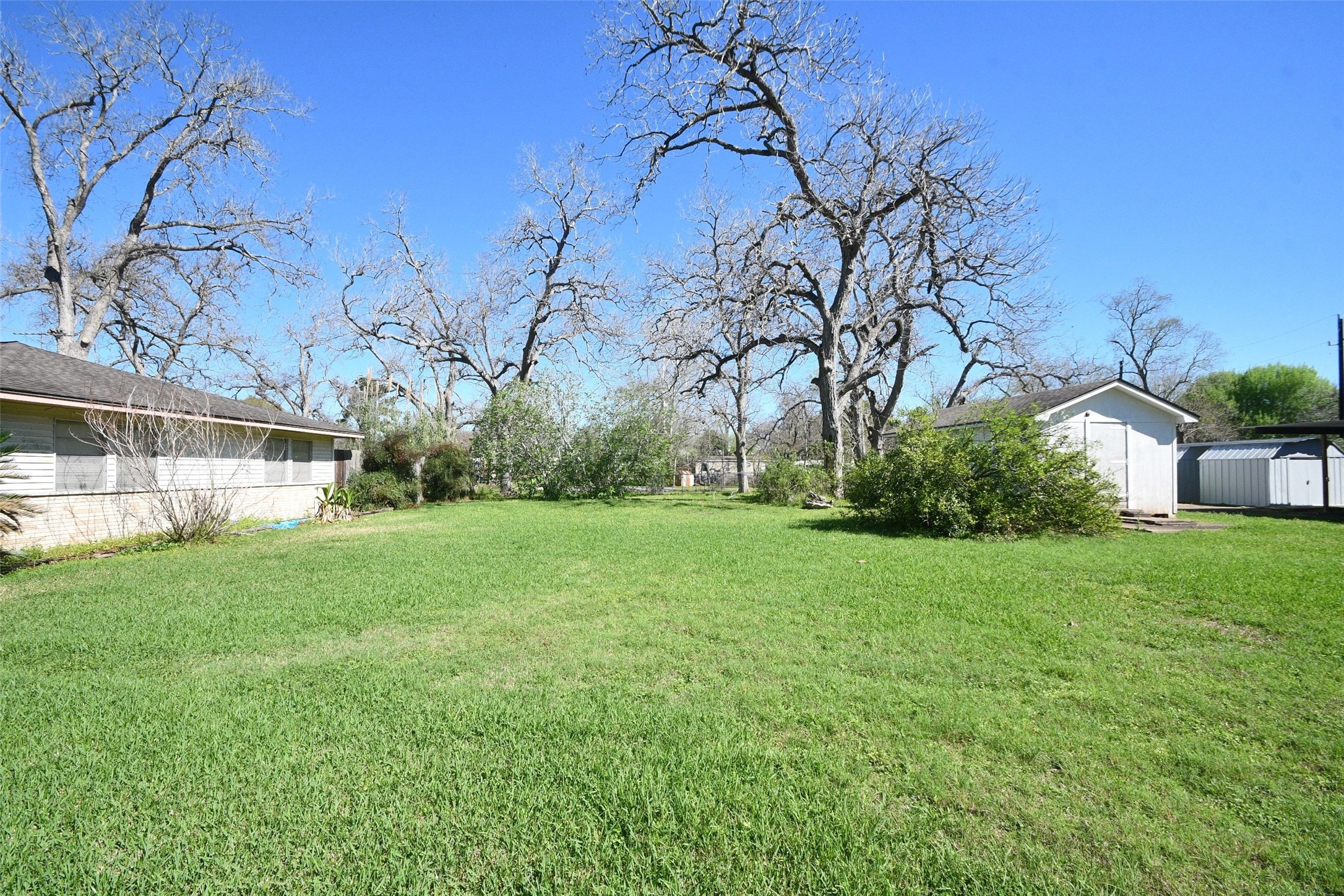 607 Riveredge Drive Richmond, TX 77406 - Photo 8 of 19 a view of a big yard with plants and large trees