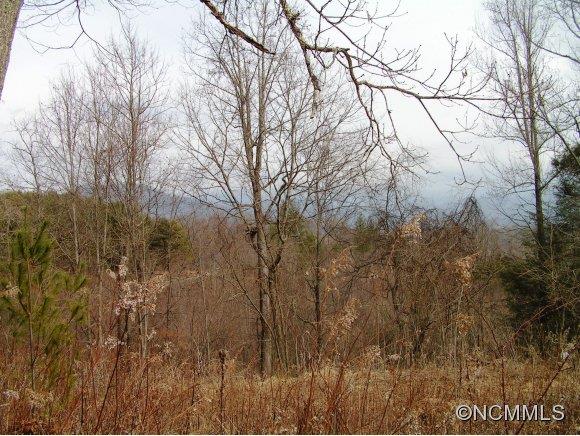 524 Ridge Road Green Mountain, NC 28740 - Photo 10 of 24 Gallery Image 10