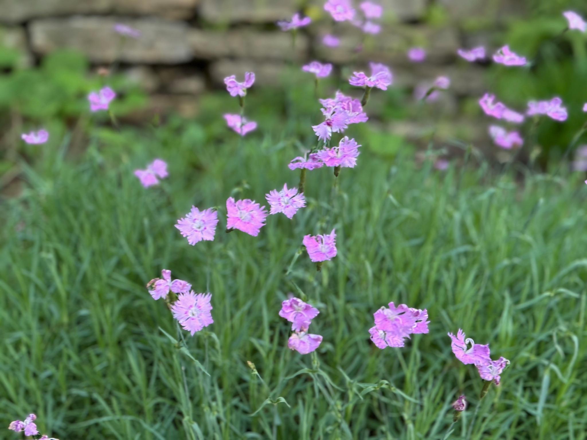 4350 River Road South Afton, MN 55001 - Photo 101 of 109
