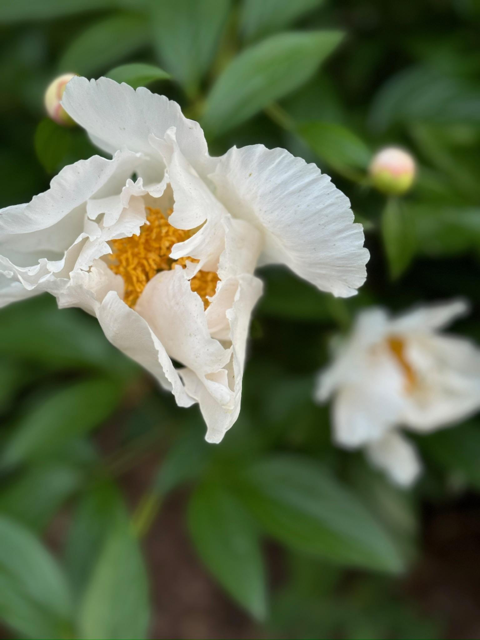 4350 River Road South Afton, MN 55001 - Photo 102 of 109