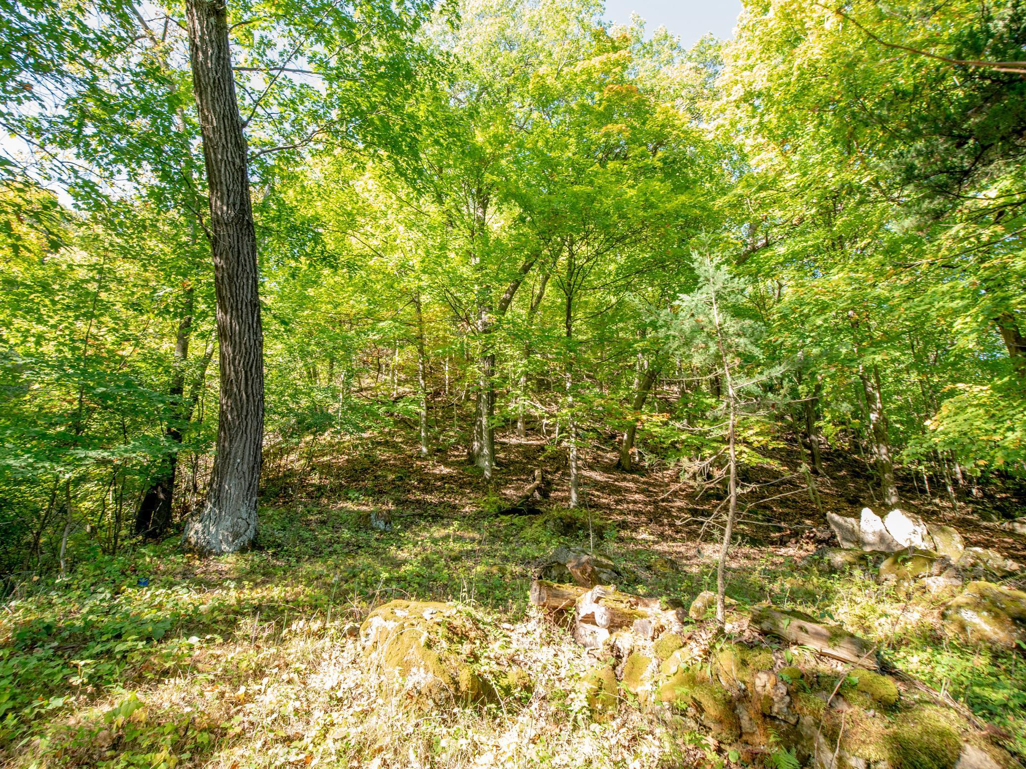 4350 River Road South Afton, MN 55001 - Photo 54 of 109