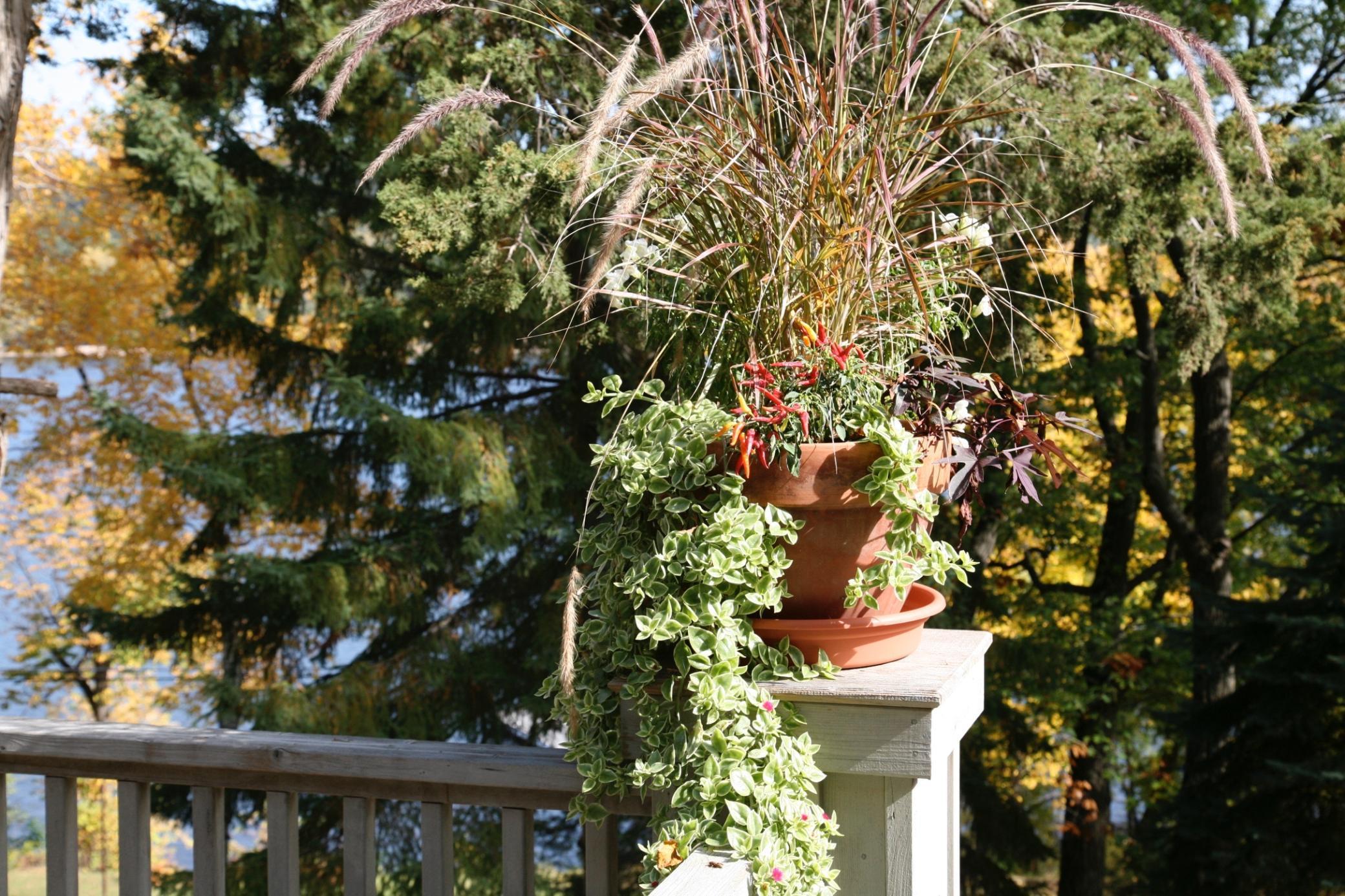 4350 River Road South Afton, MN 55001 - Photo 57 of 109