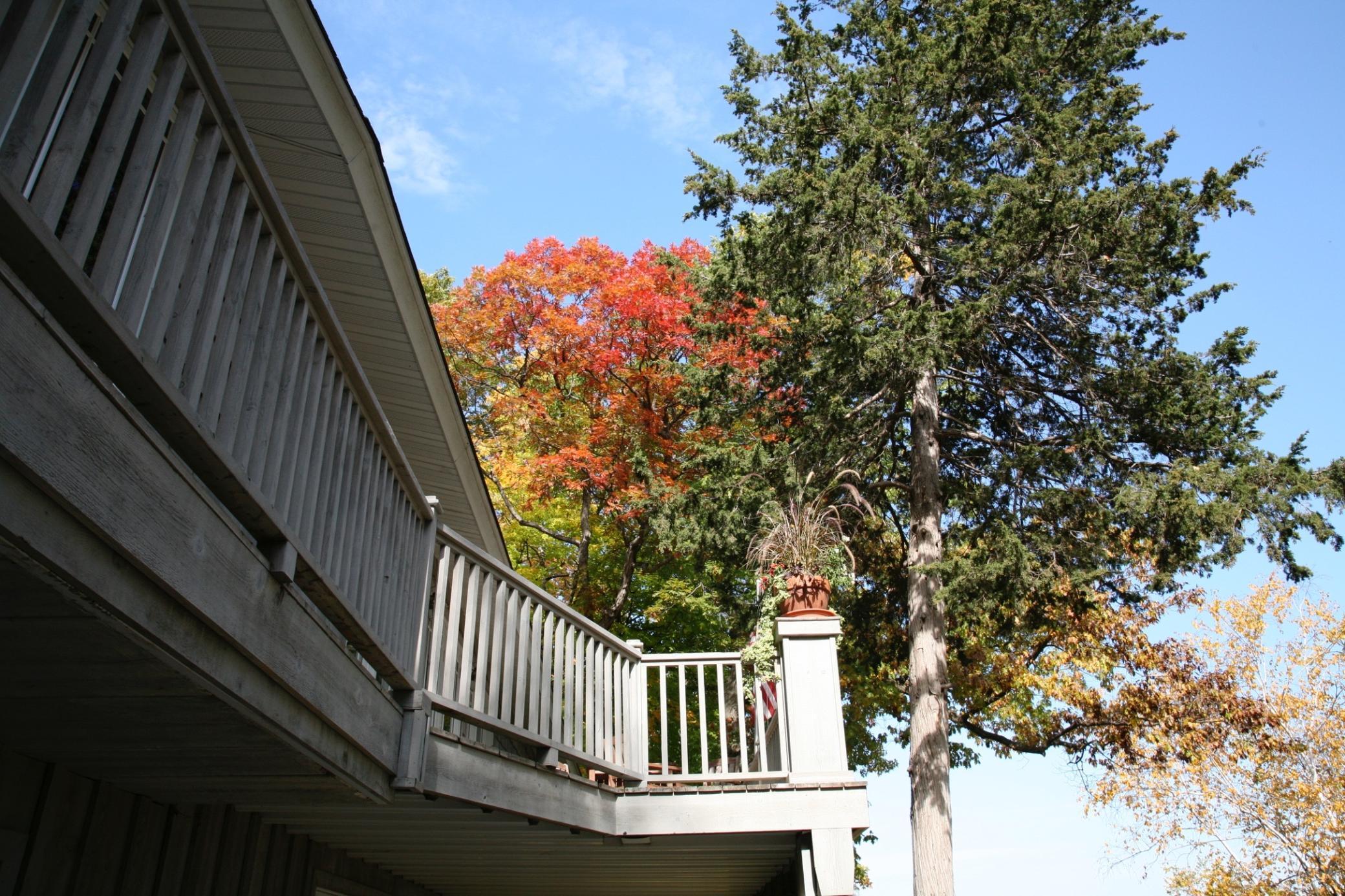 4350 River Road South Afton, MN 55001 - Photo 59 of 109