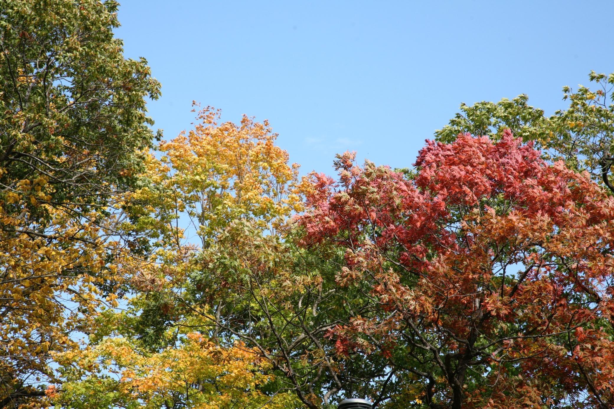 4350 River Road South Afton, MN 55001 - Photo 70 of 109