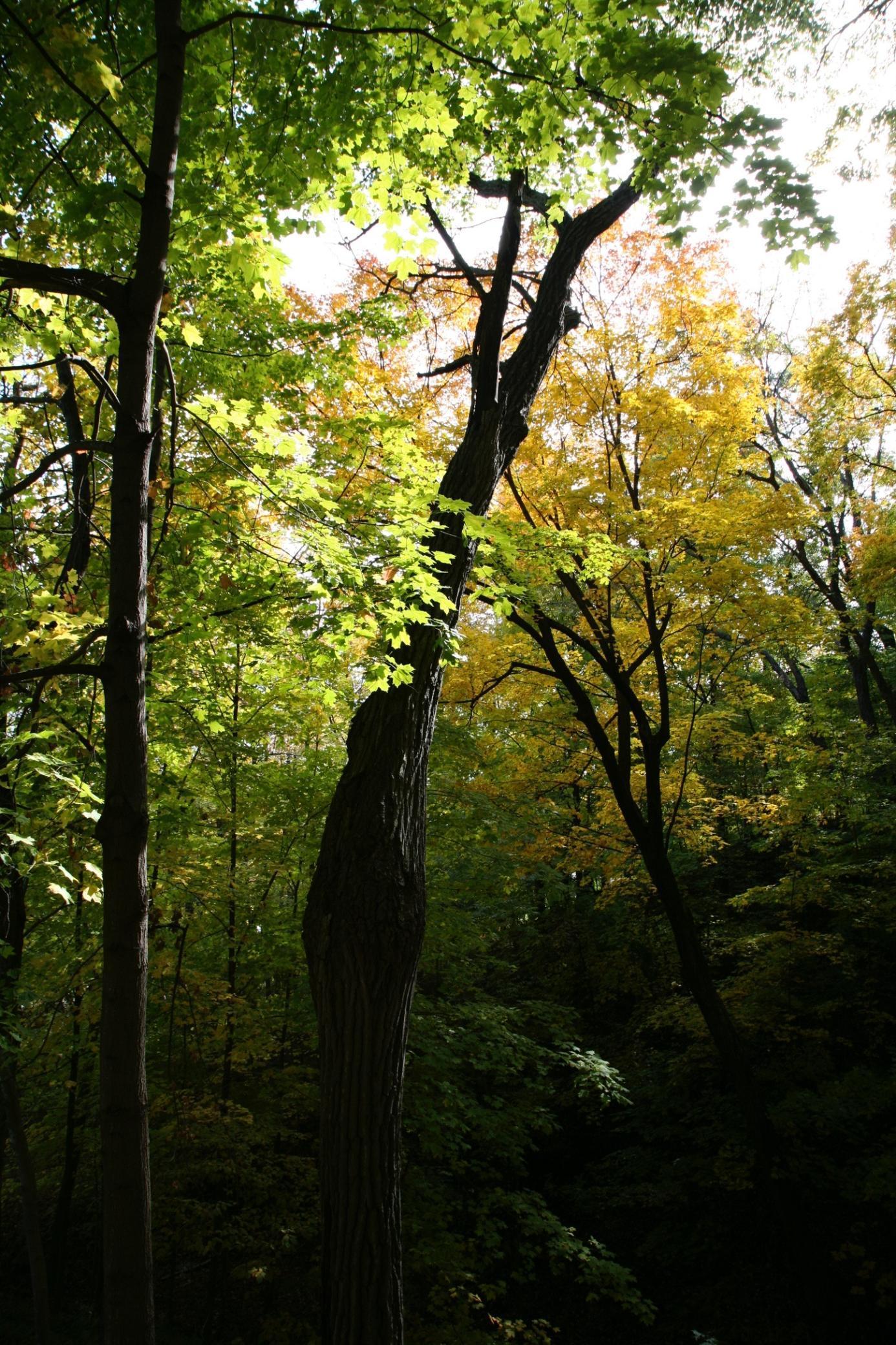 4350 River Road South Afton, MN 55001 - Photo 72 of 109
