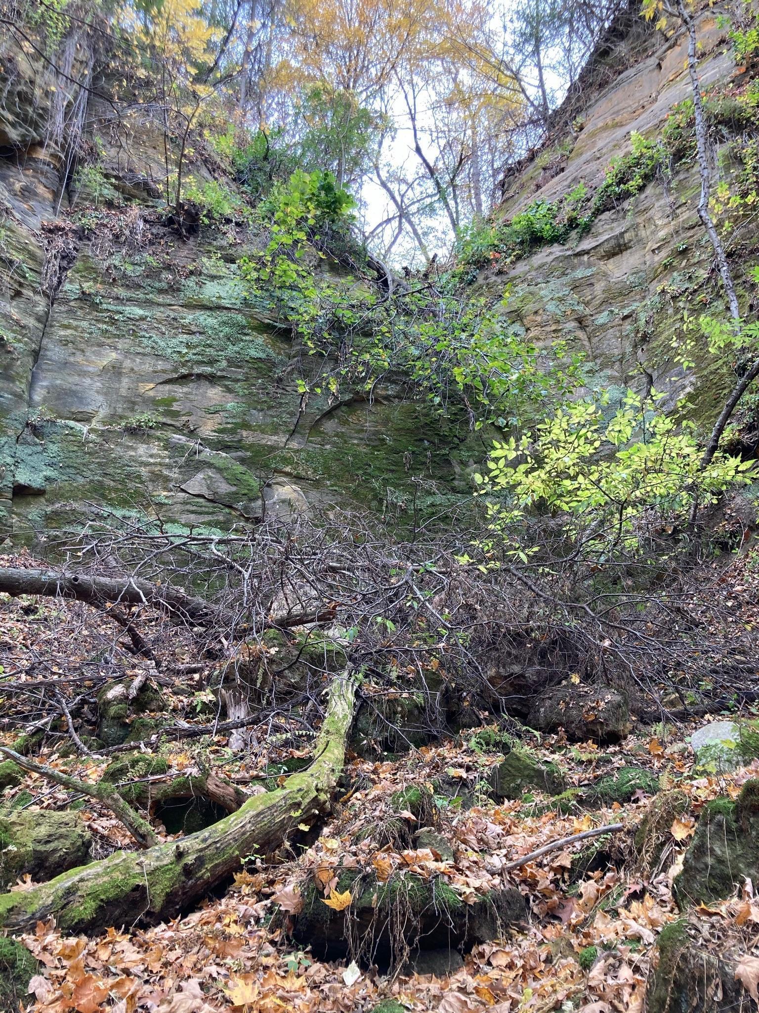 4350 River Road South Afton, MN 55001 - Photo 78 of 109