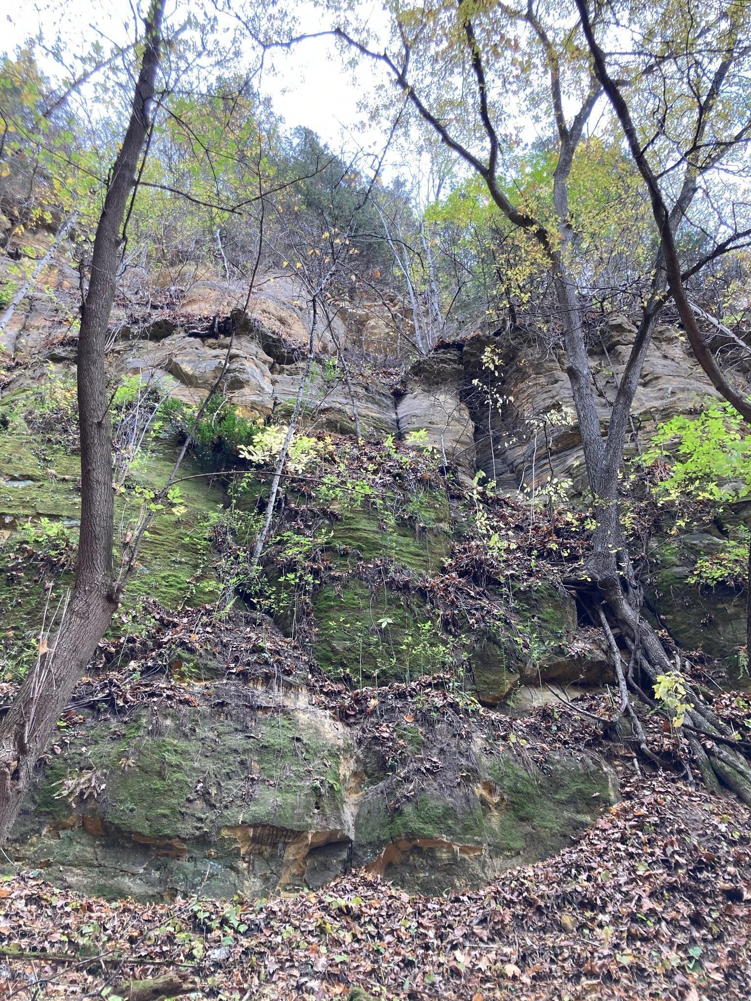 4350 River Road South Afton, MN 55001 - Photo 79 of 109