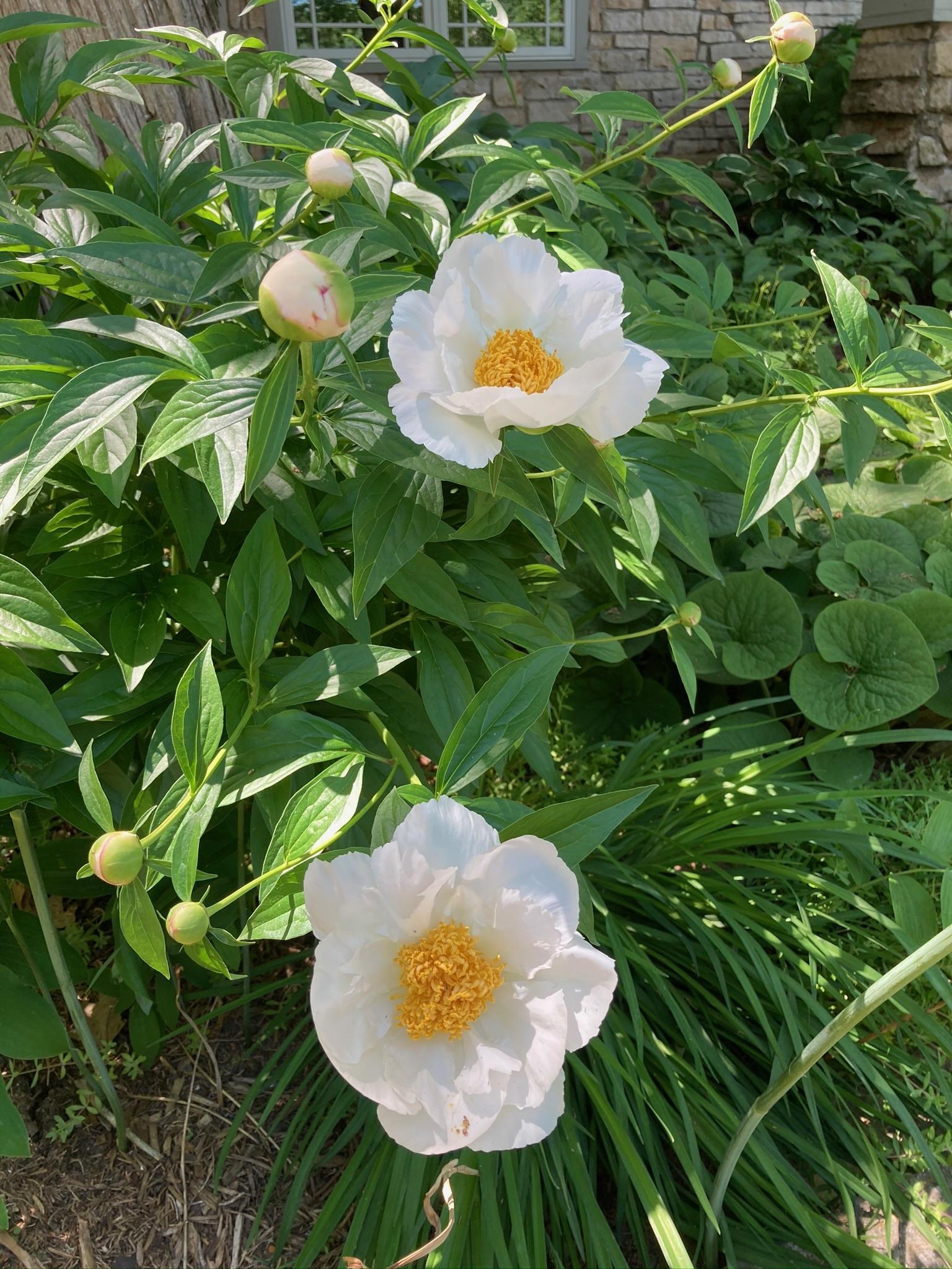 4350 River Road South Afton, MN 55001 - Photo 92 of 109