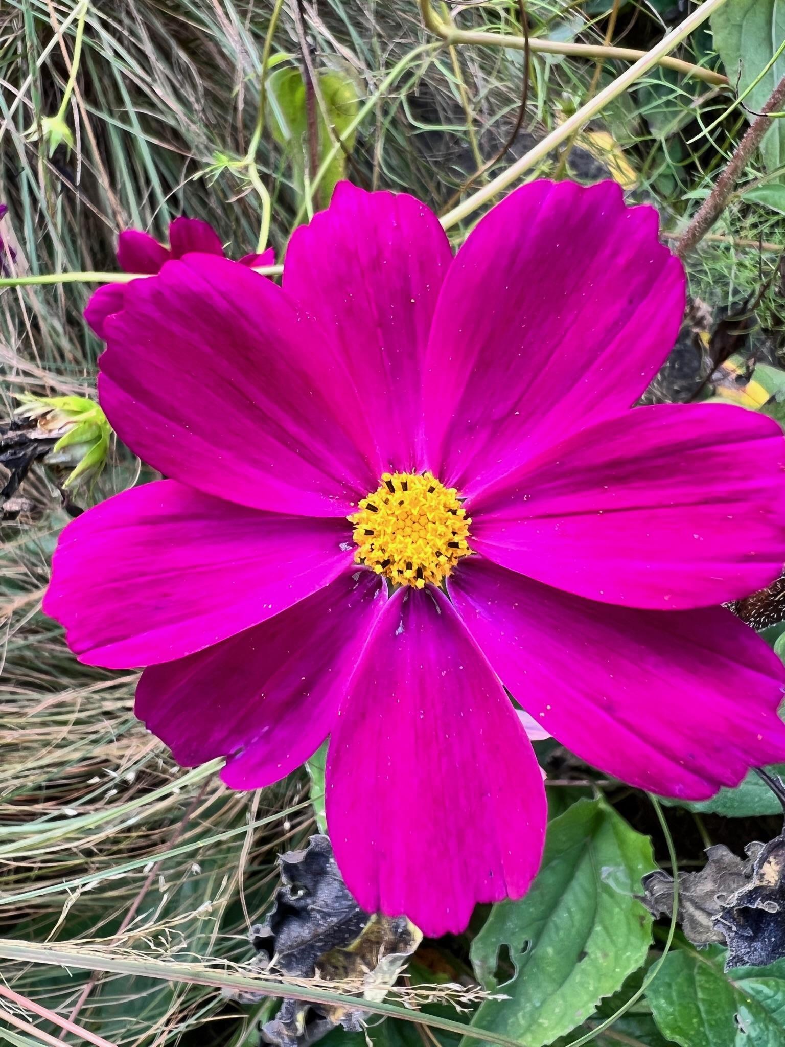 4350 River Road South Afton, MN 55001 - Photo 93 of 109