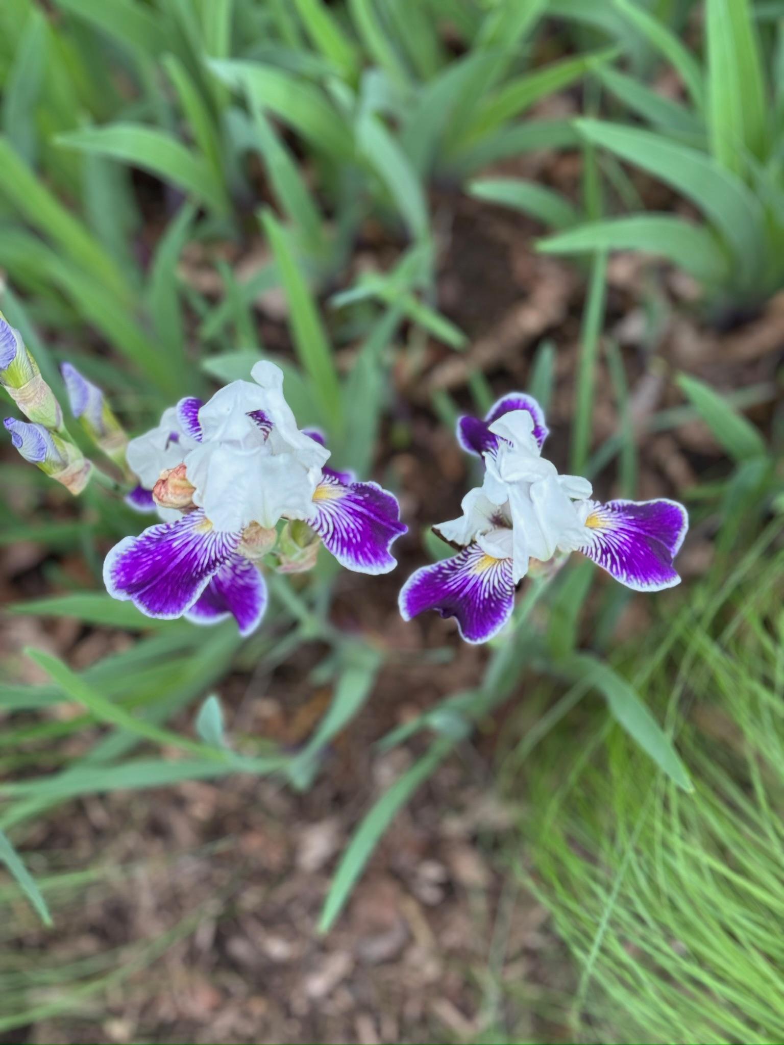 4350 River Road South Afton, MN 55001 - Photo 94 of 109