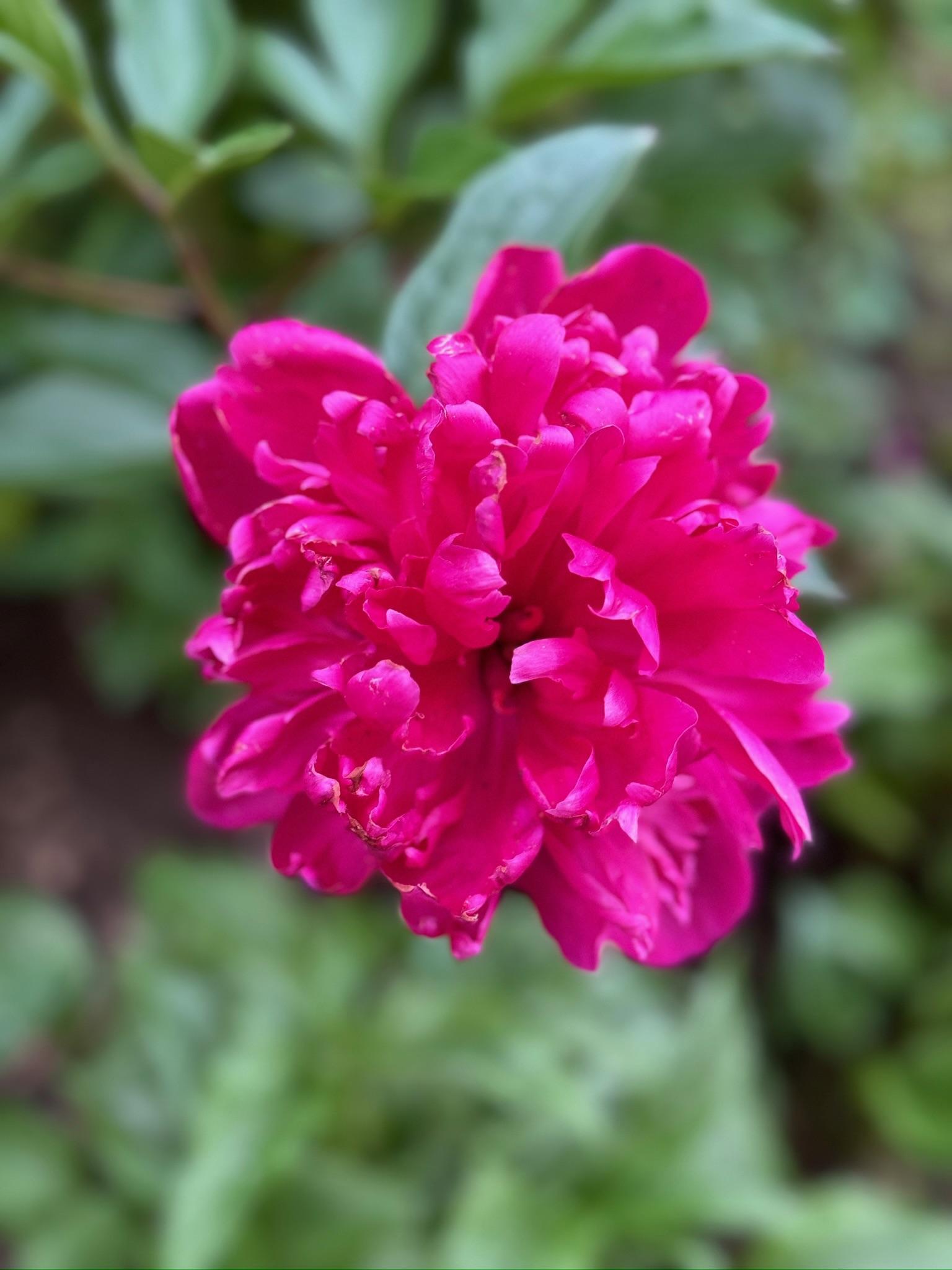 4350 River Road South Afton, MN 55001 - Photo 95 of 109