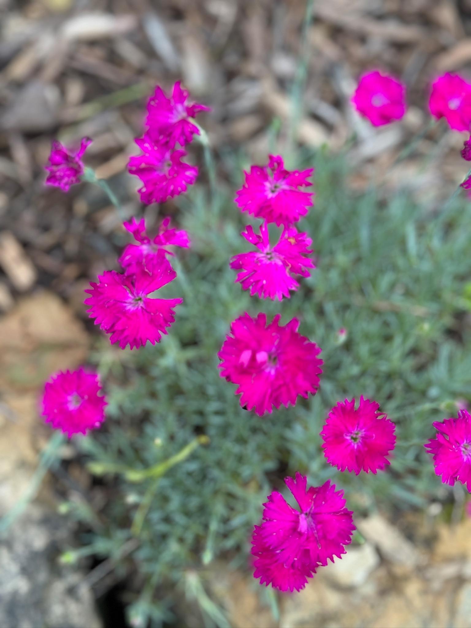 4350 River Road South Afton, MN 55001 - Photo 96 of 109