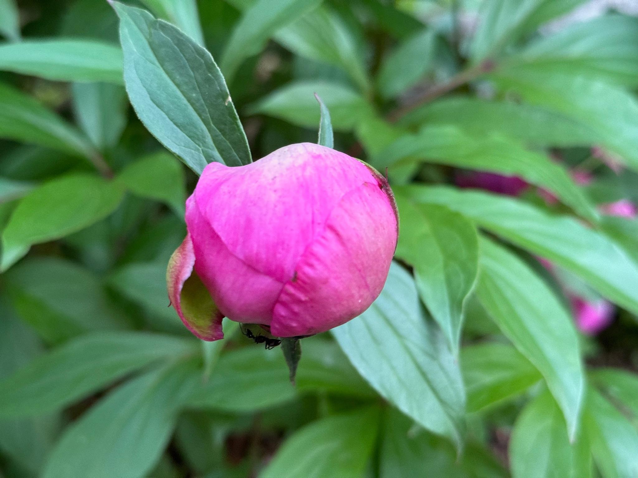 4350 River Road South Afton, MN 55001 - Photo 97 of 109