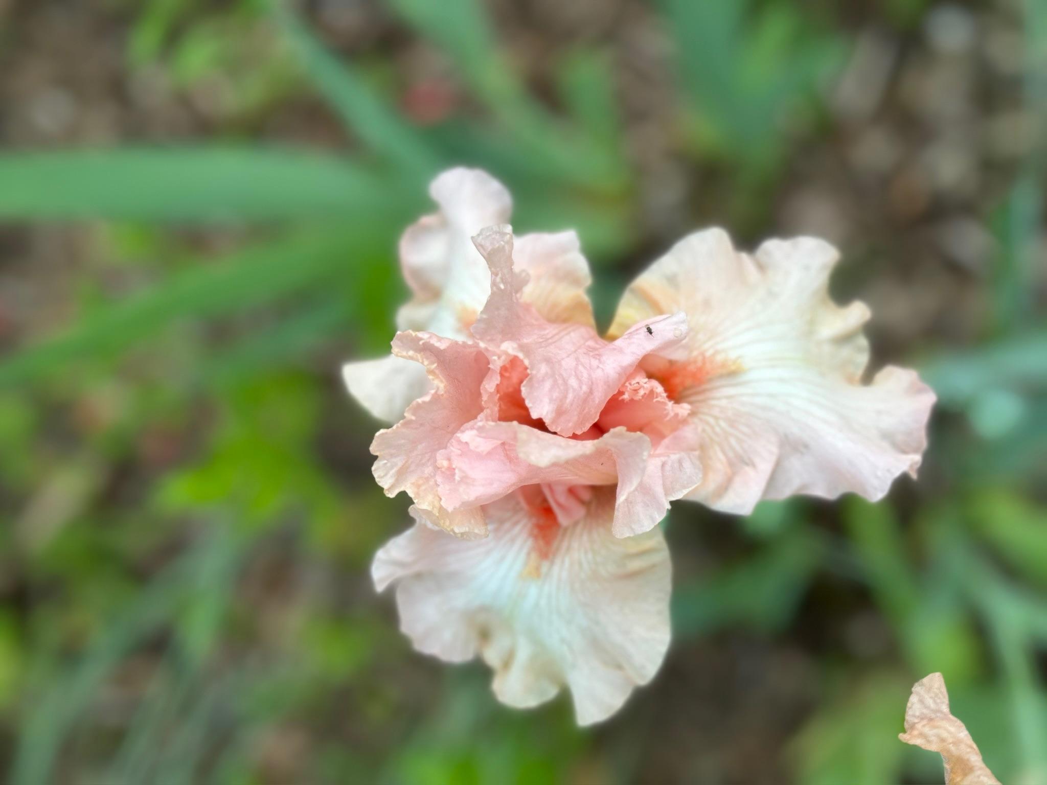 4350 River Road South Afton, MN 55001 - Photo 98 of 109