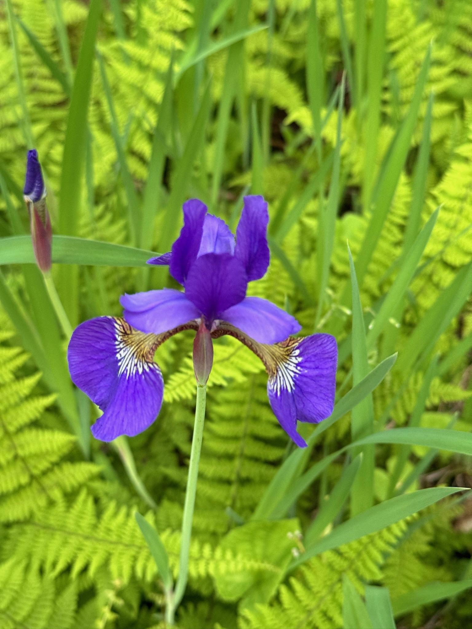 4350 River Road South Afton, MN 55001 - Photo 100 of 109