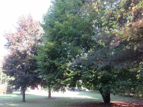 $153,000 | 1346 East Caro Road, Caro, MI 48723