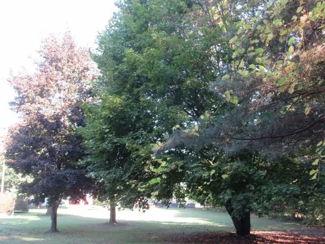 $144,900 | 1346 East Caro Road, Caro, MI 48723