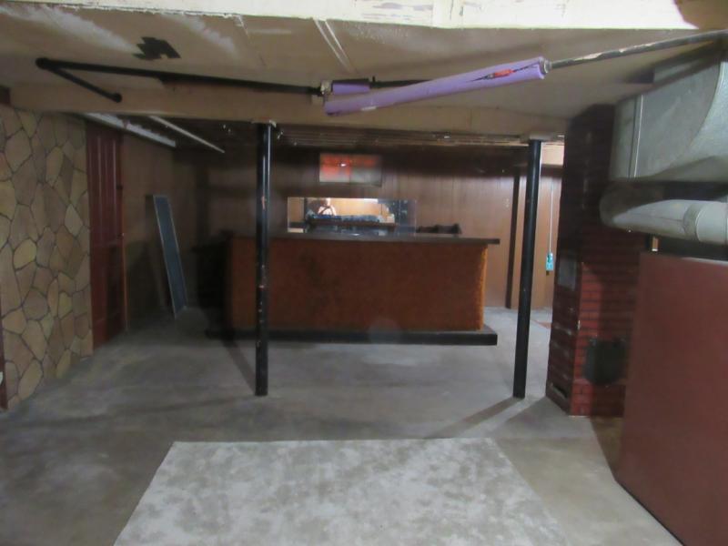 1346 East Caro Road Caro, MI 48723 - Photo 21 of 22 Previous owners had a bar down stairs. T