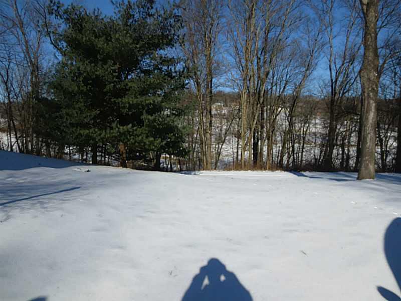 100 Folly Hollow Road Washington, PA 15301 - Photo 20 of 23 Yard/Garden.