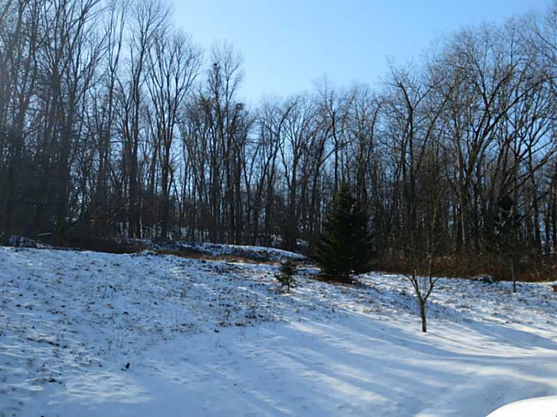 100 Folly Hollow Road Washington, PA 15301 - Photo 22 of 23 Yard/Garden.