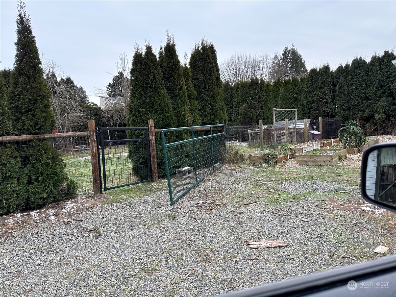 715 Thompson Street Sumner, WA 98390 - Photo 3 of 6 a view of a backyard